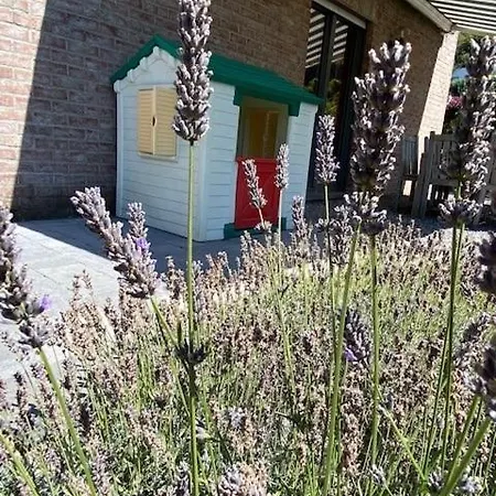 Chez Mima - à Deux Pas De Durbuy! * Durbuy